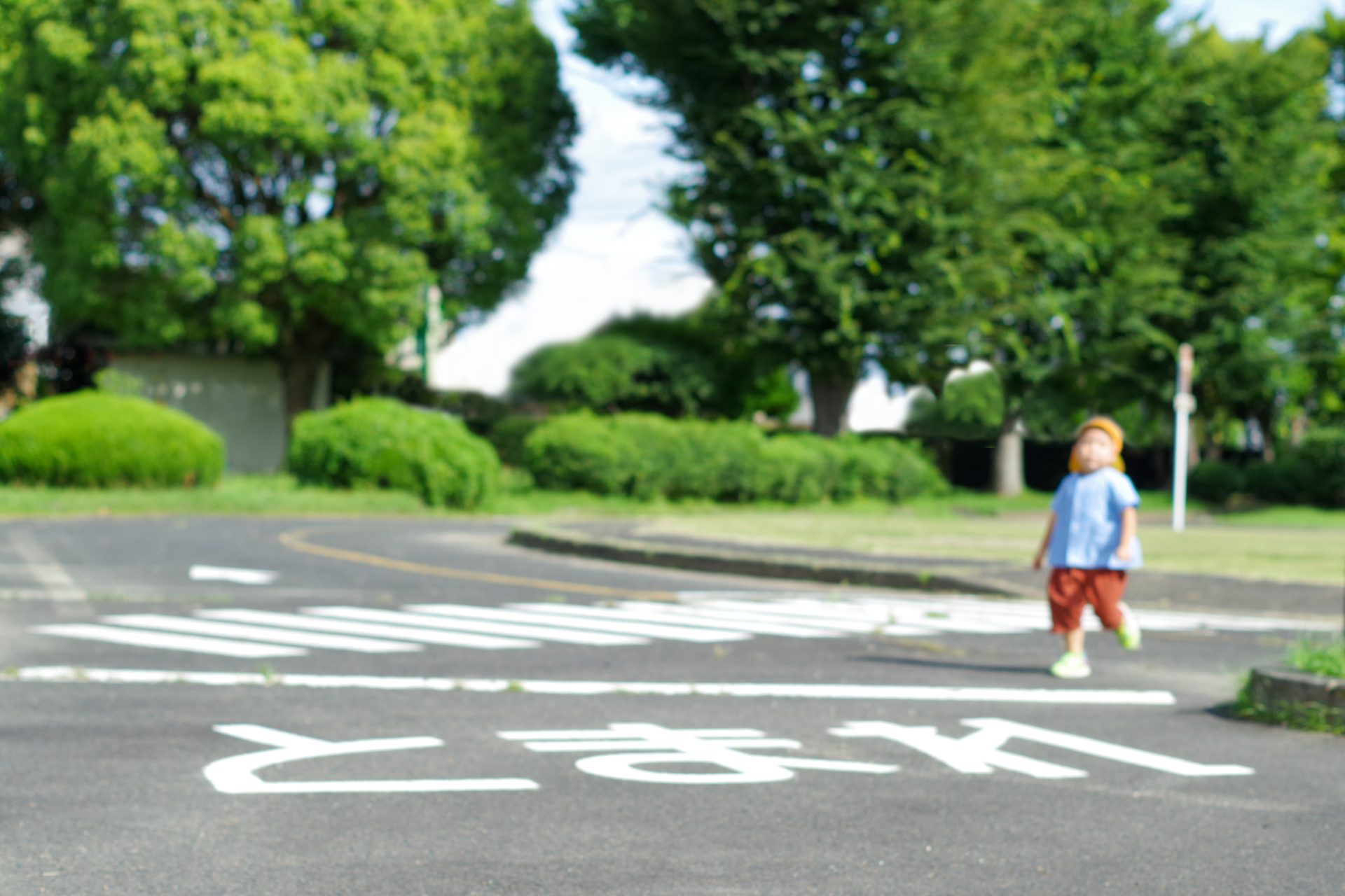 子供と横断歩道