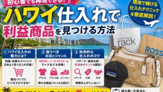 ハワイせどりおすすめ商品20選｜ハワイ限定・日本未発売を狙う仕入れルートと利益計算