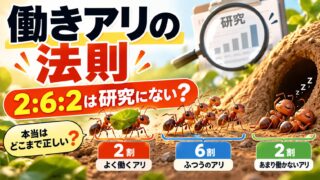 働きアリの法則（2:6:2）は本当か｜働くアリだけにしても働かないアリは現れた。ただし2:6:2は研究にない（判定ツールつき）